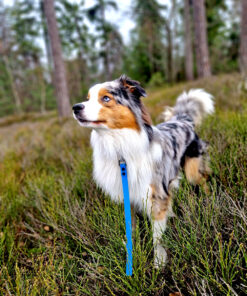 Vodítko Forest z materiálu Hexa