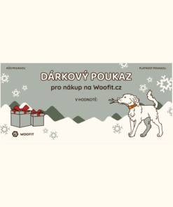 Alternative view of Vánoční dárkový poukaz - Elektronický