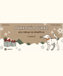 Alternative view of Vánoční dárkový poukaz - Tištěný