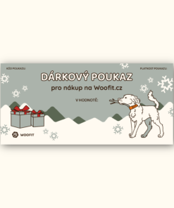 Vánoční dárkový poukaz - Elektronický