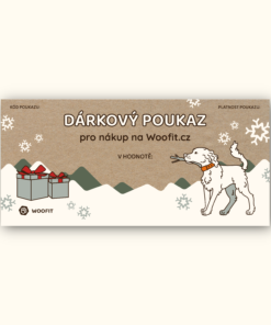 Vánoční dárkový poukaz - Tištěný