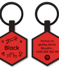 Woofit Tag Agility