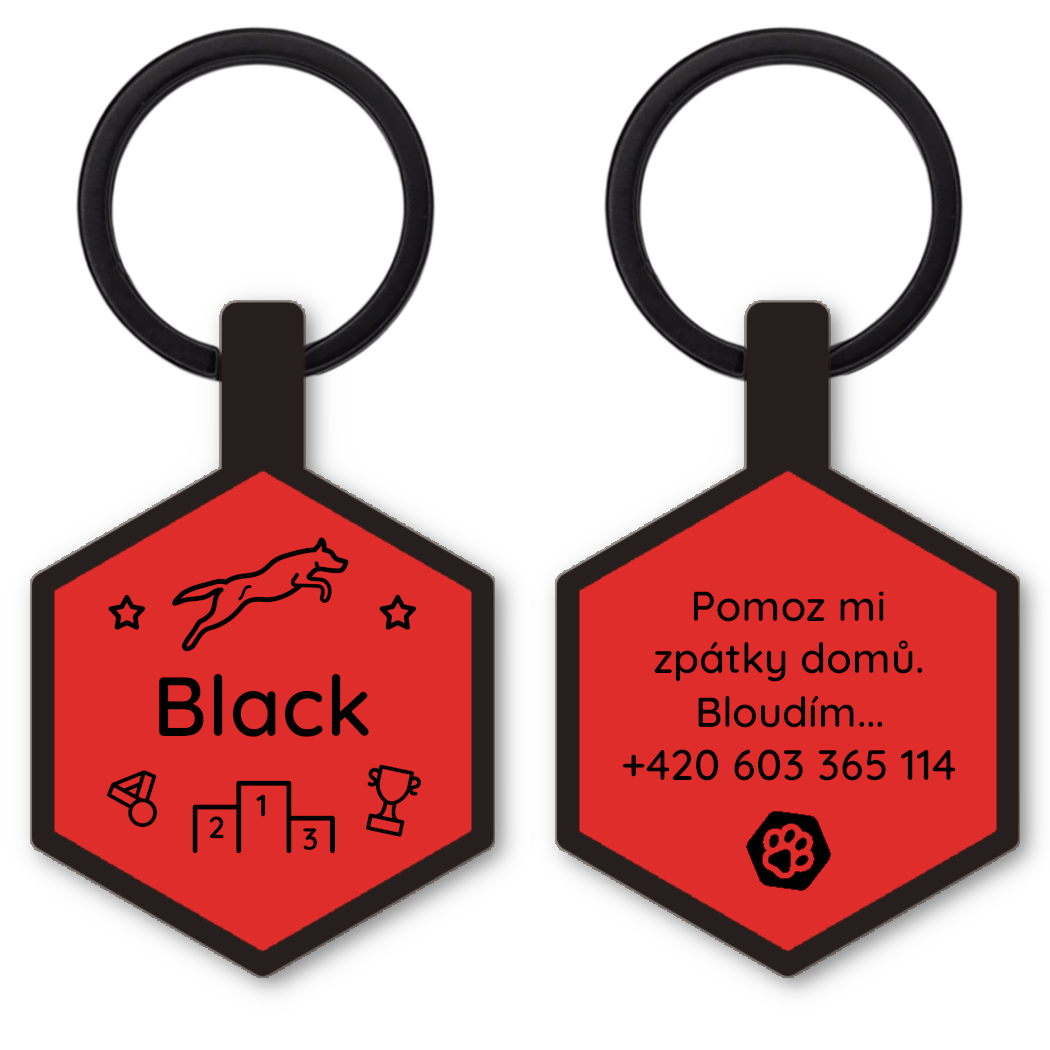 Woofit Tag Agility